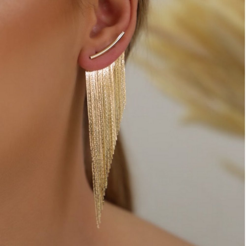 Fringe Tassel Earrings, Gold NWT / never worn
